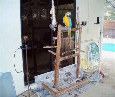 Arielle perched with microphones for recording