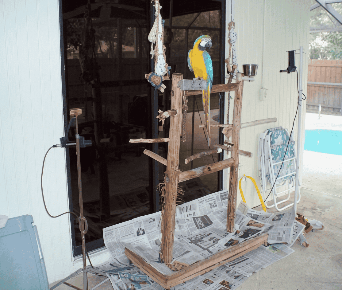 Arielle perched with microphones for recording