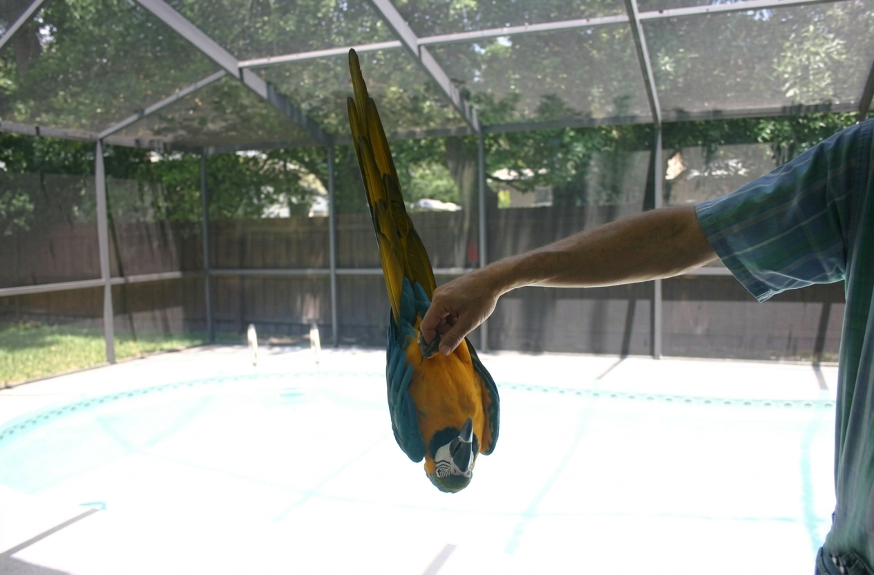 Arielle hanging upside down