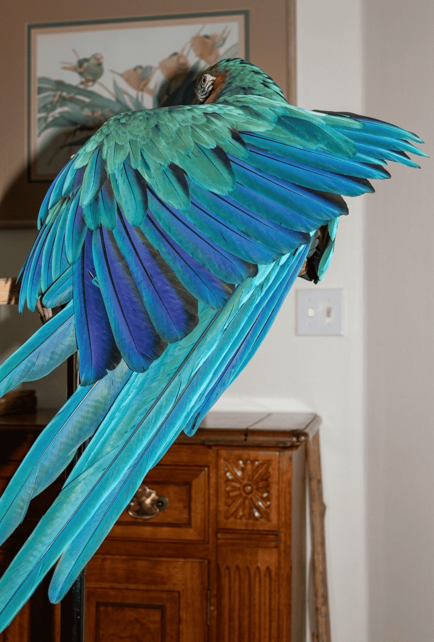 Arielle the macaw