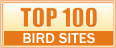 Top 100 Bird Sites